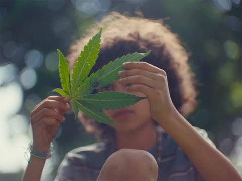 Grassland | Official Trailer