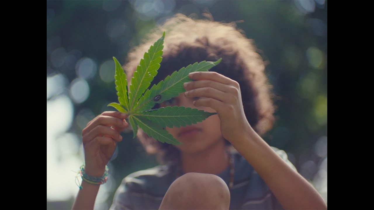 Grassland | Official Trailer