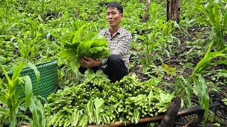 Harvest Upland Vegetables Goes to the market sell - Gardening - Take Care Of The Pet | Solo Survival