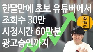 [채널 성공 이유 분석]  한달만에 조회수 30만 시청시간 60만분 광고승인까지 가능했던것은?
