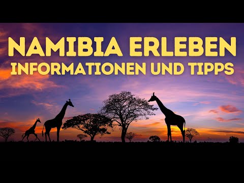 Namibia: The ultimate travel planner & insider tips!