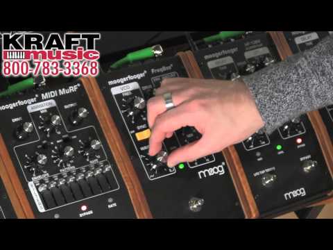 Moog MF-107 Moogerfooger FreqBox Freq Box image 13
