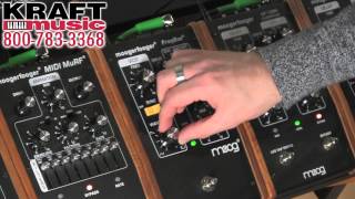 Video thumbnail for Kraft Music - Moog Moogerfooger MF-107 FreqBox Demo with Jake Widgeon by Kraft Music
