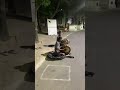 Tabla Practice At Early Morning SV Music College Tirupathi