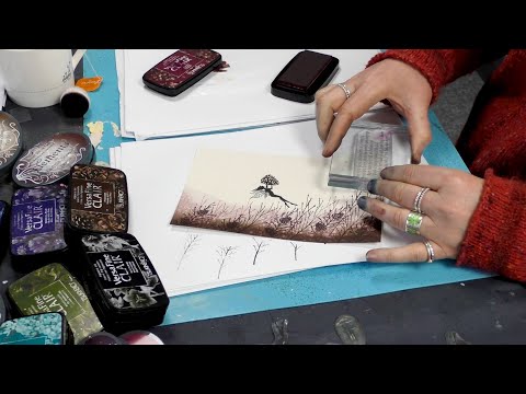 The Fairy and the Fir Cone by Tracey Dutton