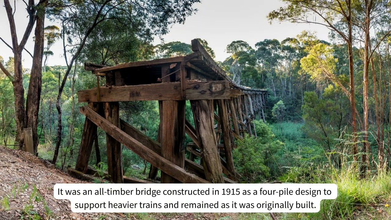 Boggy Creek, Koetong