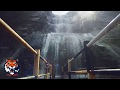 Best Whatsapp Status Enda Pakkam Daramadurai Timing Tigers