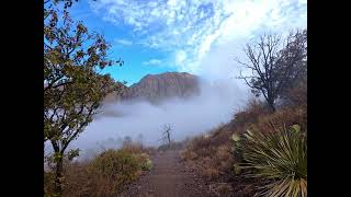 Hiking down Window Trail in Big Bend National Park. It was a cold cloudy day.