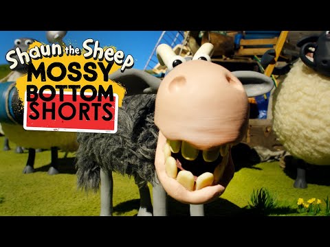 Stomp 🛢️ Mossy Bottom Farm Shorts 🐑 #ShauntheSheep
