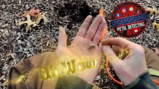 Quick Park Hunt - New metal detecting finds with the Minelab Manticore!