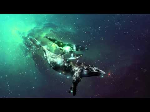 Pavle Klada - Space Whale Adventures (preview)