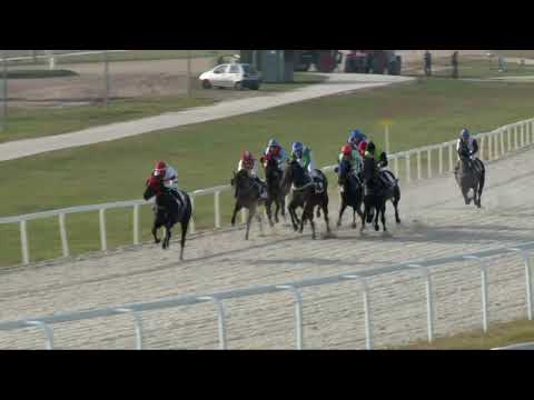 2017.11.05. 5. futam - SPILLERS HENDIKEP (I.o.) (szintetikus pálya)