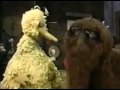 Sesame Street My Reaction Of Starting 12th Grade On Wednesday