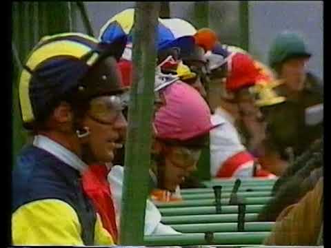 1990 Tote Portland Handicap