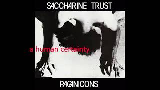 Saccharine Trust - A Human Certainty