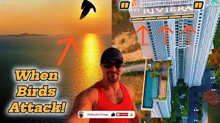 “Full Walkthrough of The Riviera Wongamat | Wongamat Beach, Luxury Condo & Wild 