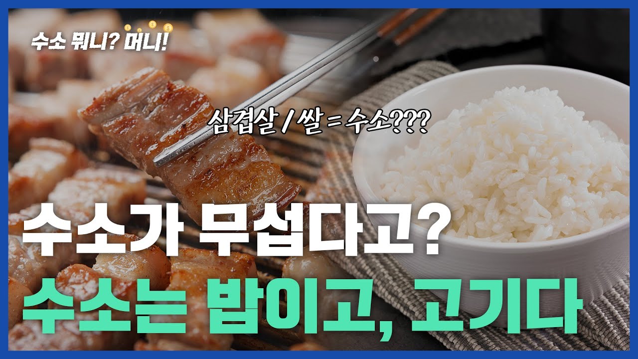 [수소 뭐니?머니!]수소는 밥이고, 고기다.