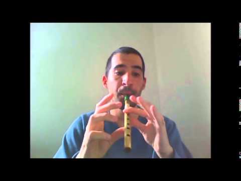 Flower of Scotland played with an Irish tin whistle