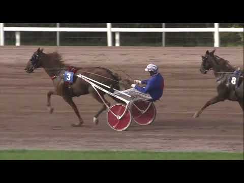 Tour Européen du Trotteur Français 2022 - Finale à Mons - Eclat de Gloire