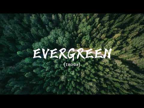 [1 HOUR] Evergreen - Richy Mitch & The Coal Miners Ft. Caamp