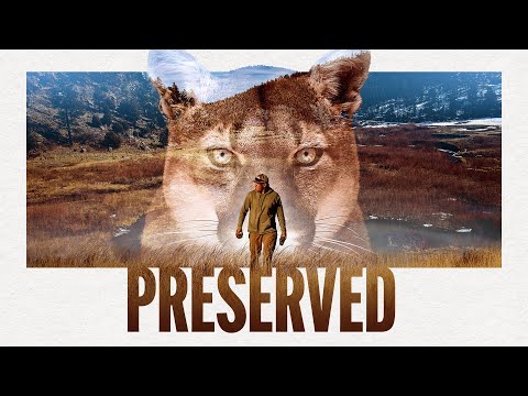 Preserved - Theatrical Trailer