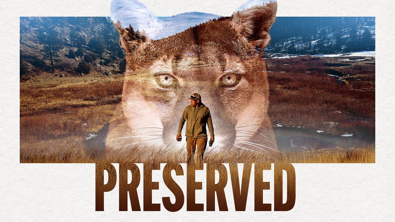 Preserved - Theatrical Trailer