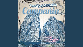 It&#39;s Now Or Never (&#39;O Sole Mio)