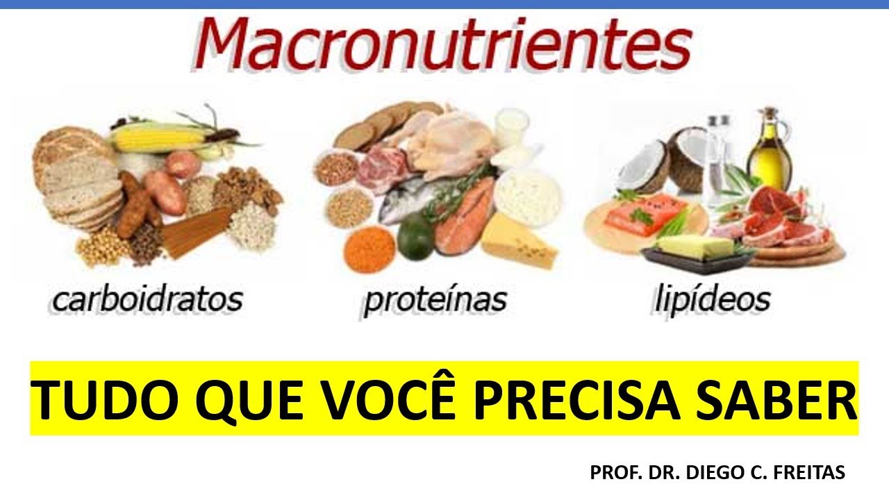 Macronutrientes: funções, necessidades, classificações e fontes.