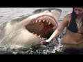 SHARK ATTACKS caught on tape 