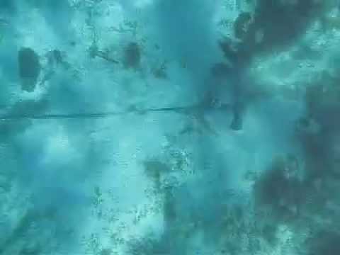 Anker beim Eingraben