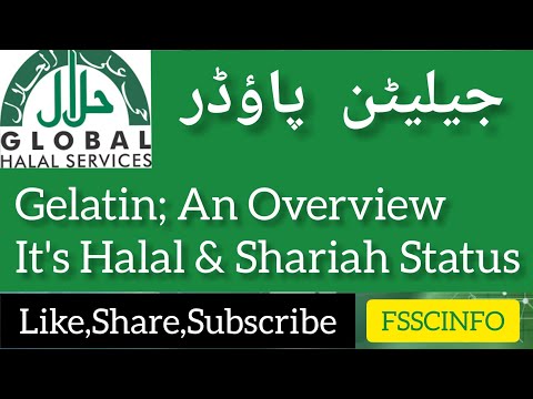 Gelatin Powder;An Overview, It's Halal or Haram|Bone...