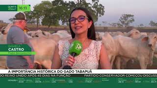 Miniatura do vídeo