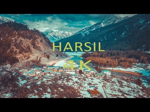 Pranjal Harshil Tra...