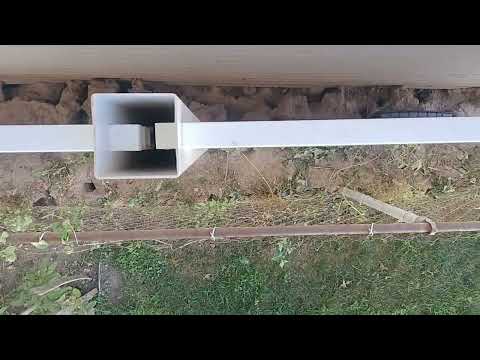 A Bunch of Rat Burrows Behind the Fence in Farmingdale, NJ