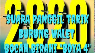 Download lagu SUARA PANGGIL TARIK WALET BOCAH BIRAHI 'BOYAH 4' mp3