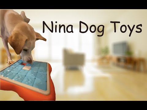 犬の知育玩具なら「Nina Dog Toys ～ニーナドッグトイズ～」