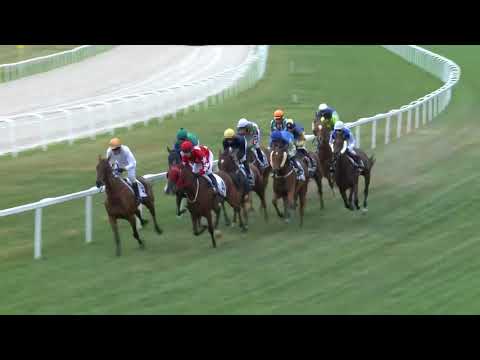 2018.08.05. 07. futam - MAGYAR KANCADÍJ (HUN Gd-2)