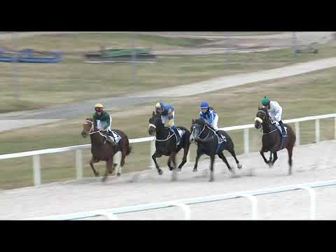 2021.11.28. 02. futam - VIGASZ DÍJ (II.kat.) (szintetikus pálya)