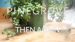 The Key Presents: Pinegrove -  Then Again