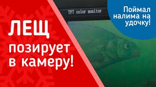Зимняя рыбалка налим на зимнюю удочку