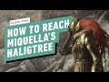 Elden Ring: How to Reach Miquella's Haligtree (Haligtree Medalion Solution)