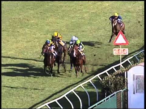 Galoppo 11/01/2015 - 1° corsa