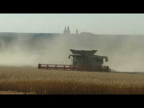 Ernte 2022 / Roggen / 3xClaas Lexion NEUE Generation / RAW SOUND FIELDRECORDING / Part 1/3