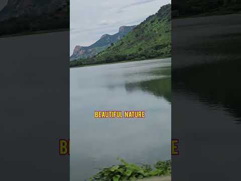 On the way to my journey/beautiful nature /Padmaja Rallapalli /Shorts