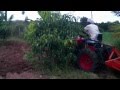 mahindra yuvraj 215 cultivation in chikku farm.mp4