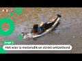 Julieta redt zeeschildpadden uit zeewier-brij