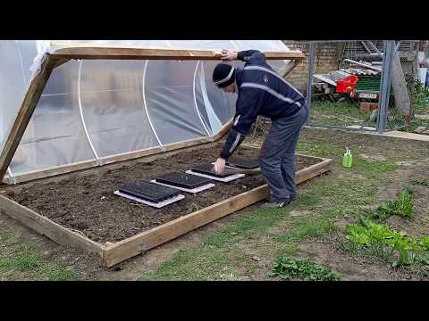 Pravljenje rasada, setva u kontenjere