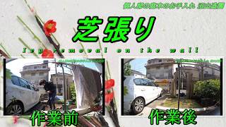 https://www.youtube.com/watch?v=zQZQfv3aJ4Y