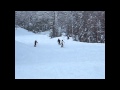 Marko Yanishevsky CC Love Ski 13 Wmv