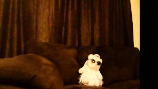 UTFO  "The real roxanne"